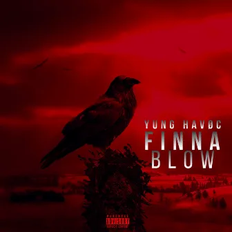 Finna Blow by Yung HAVØC