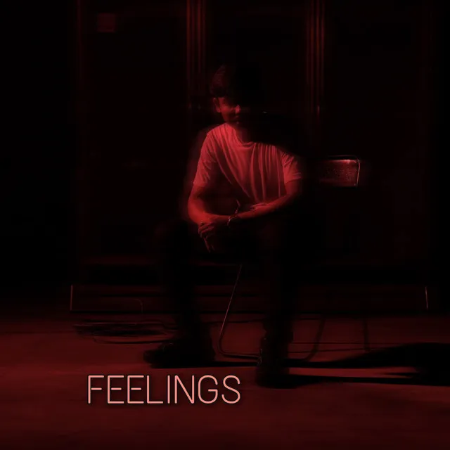 Feelings