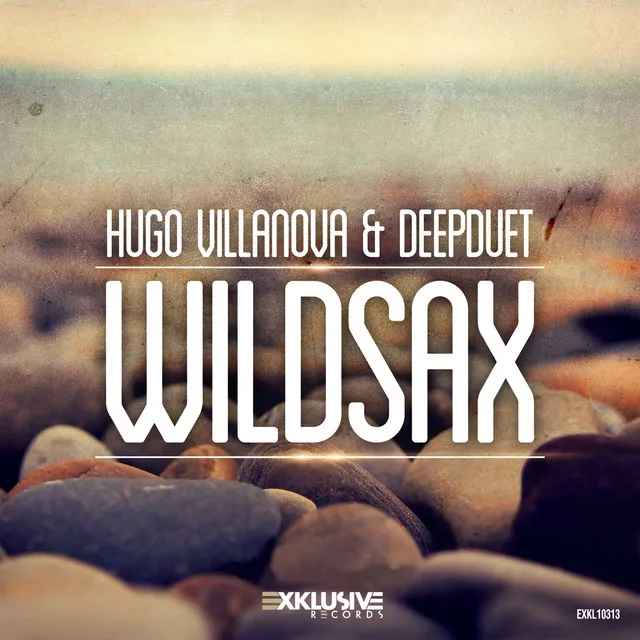 Wildsax - Radio Edit