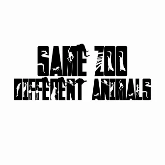 Same Zoo Different Animals by Norm Regular