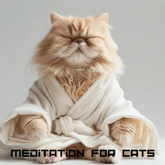 Meditation for Cats: Solfeggio Frequencies Therapy for Stress and Anxiety Relief by Sleepy Cats!