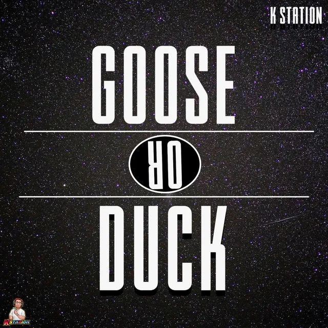 Goose Or Duck