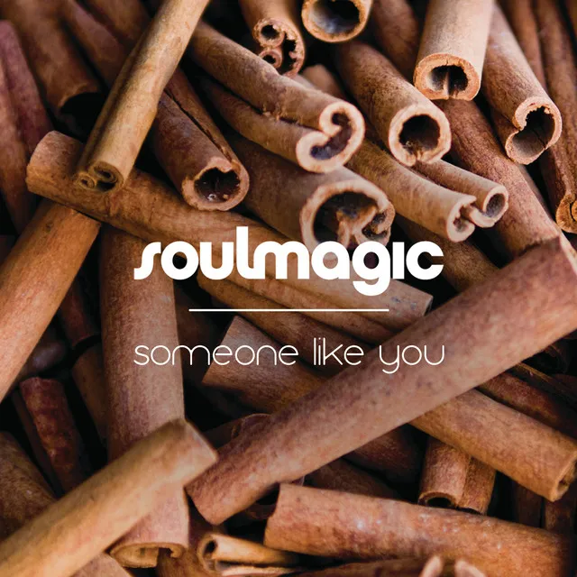 Someone Like You - Full Vocal Radio Edit