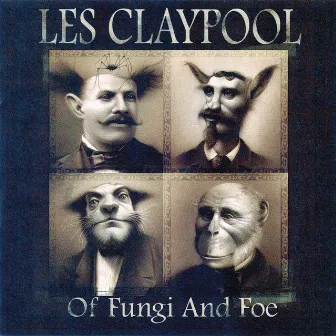 Of Fungi And Foe by Les Claypool