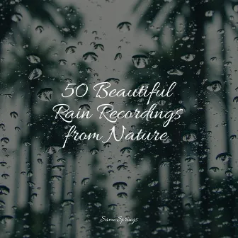 50 Beautiful Rain Recordings from Nature by Rain Sounds ACE