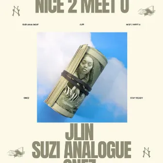 NICE 2 MEET U by Suzi Analogue