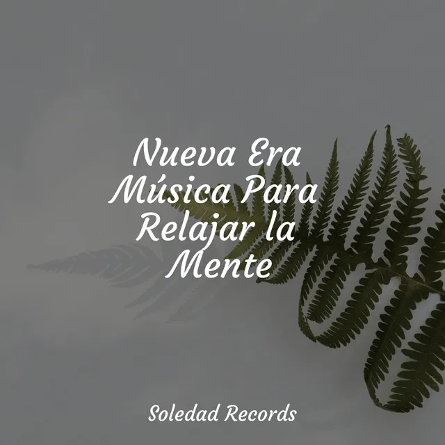 Nueva Era Música Para Relajar la Mente