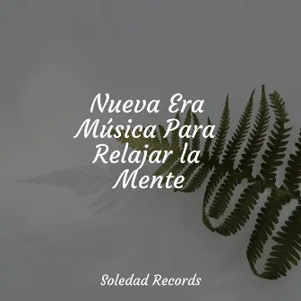 Nueva Era Música Para Relajar la Mente by Musica para Meditar Especialistas