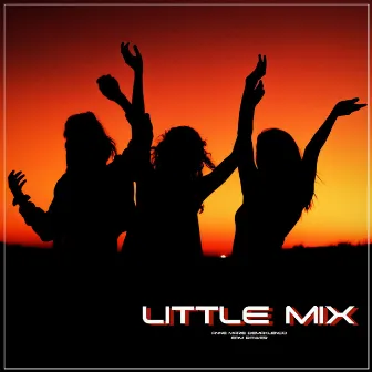 Little Mix by Anne Marie