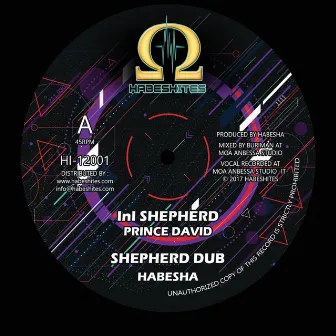 InI Shepherd by Sista Habesha