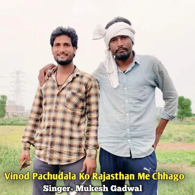 Vinod Pachudala Ko Rajasthan Me Chhago