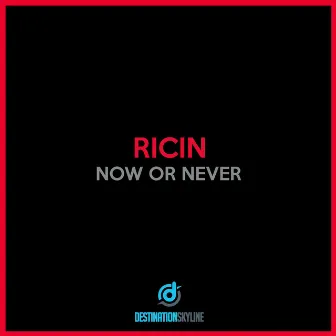 Now Or Never by Ricin