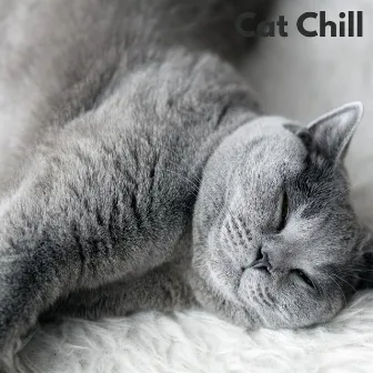 Cat Chill (Loopable, No Fade) by RW Muziek voor kattenoren