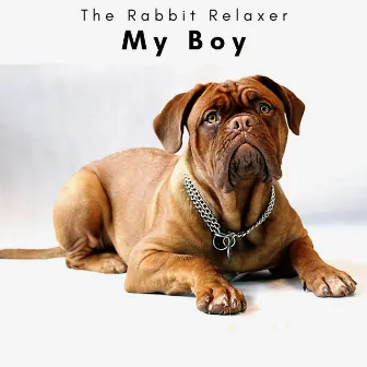 4 Dogs: My Boy by The Rabbit Relaxer