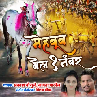 Maihabub Bail Ek Number by Mamta Patil