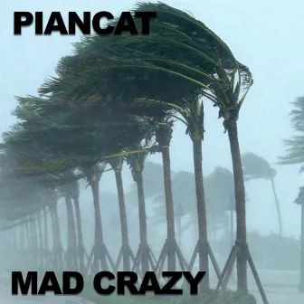 Piancat by Mad Crazy