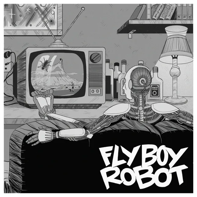 FLY BOY ROBOT