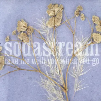 Take Me With You When You Go by Sodastream