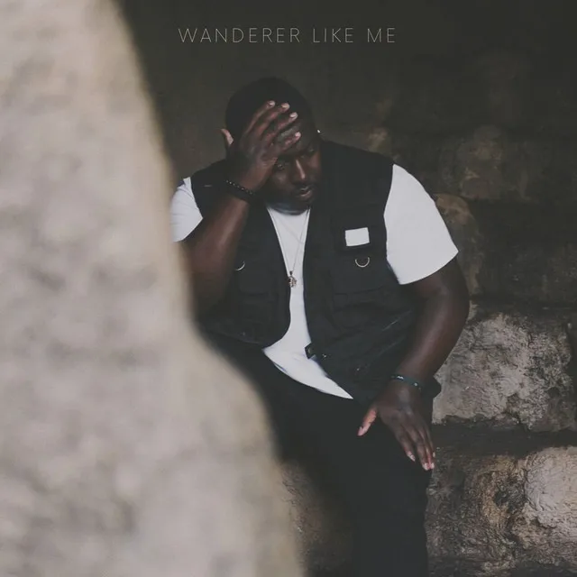 Wanderer Like Me