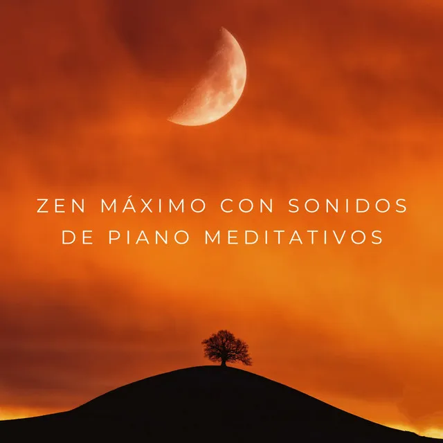 Zen Máximo Con Sonidos De Piano Meditativos