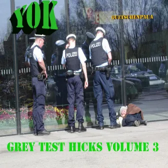 Gray Test Hicks, Vol. 3 by Yok Quetschenpaua