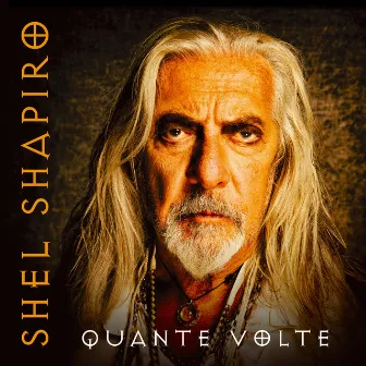 Quante volte by Shel Shapiro