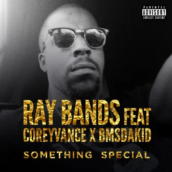 Something Special by Ray Bands