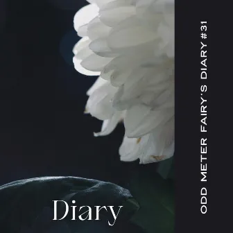 Diary #31 by Odd Meter Fairy