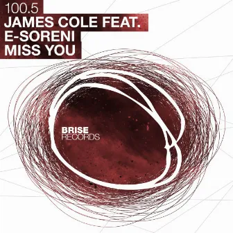 Miss You by James Cole