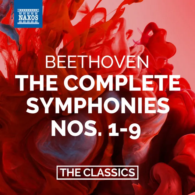 Symphony No. 9 in D Minor, Op. 125 "Choral": IV. Finale: Presto - Allegro assai