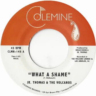 What a Shame by Jr Thomas & The Volcanos