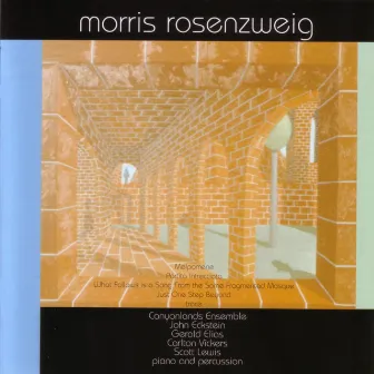 Chamber Music by Morris Rosenzweig