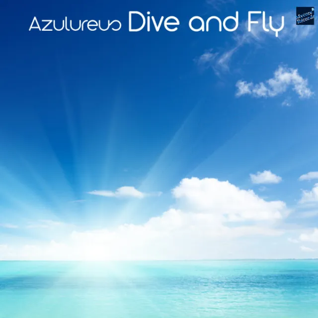 Dive And Fly - Original