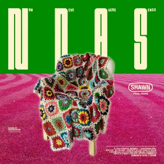 N.D.A.S. by Shawn