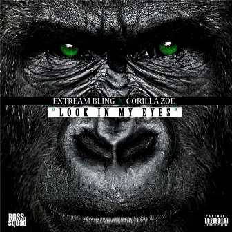 Look in My Eyes (feat. Gorilla Zoe) by Unknown Artist