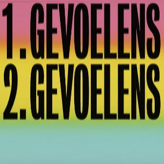 Dubbele Gevoelens by Ludo de Vriendt