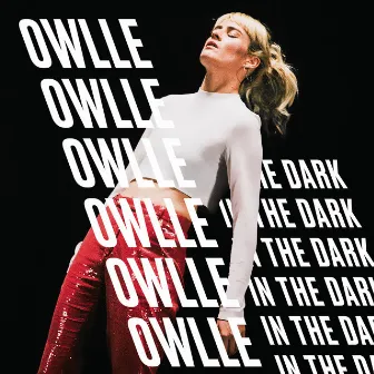 In The Dark by Owlle