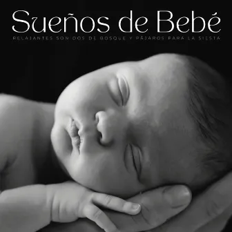 Sueños De Bebé: Relajantes Sonidos De Bosque Y Pájaros Para La Siesta by Bebé dulce sueño