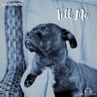 Tell Me by Locomesa