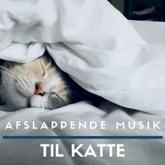 Afslappende Musik til Katte: Hvordan til at Sove dit Kæledyr by Sort Kat