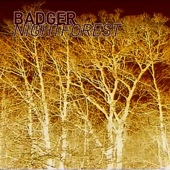 NIGHTFOREST (again) by Badger