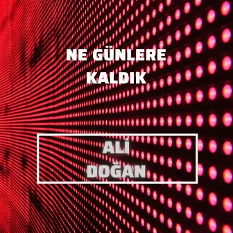 Ne Günlere Kaldık by Ali Doğan