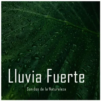 Sonidos de la Naturaleza: Lluvia Fuerte by Sonido Ambiente