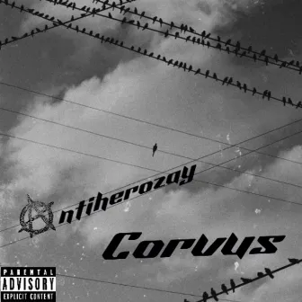 Corvus by Antiherozay