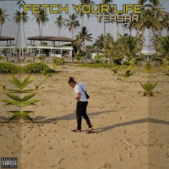 Fetch Your Life by Teasar