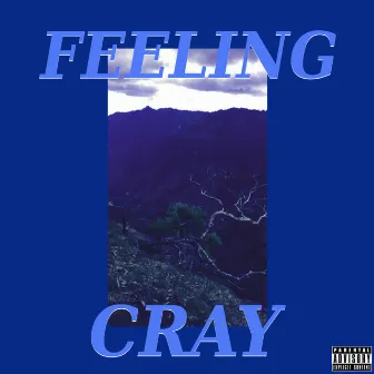 Feeling by Cray