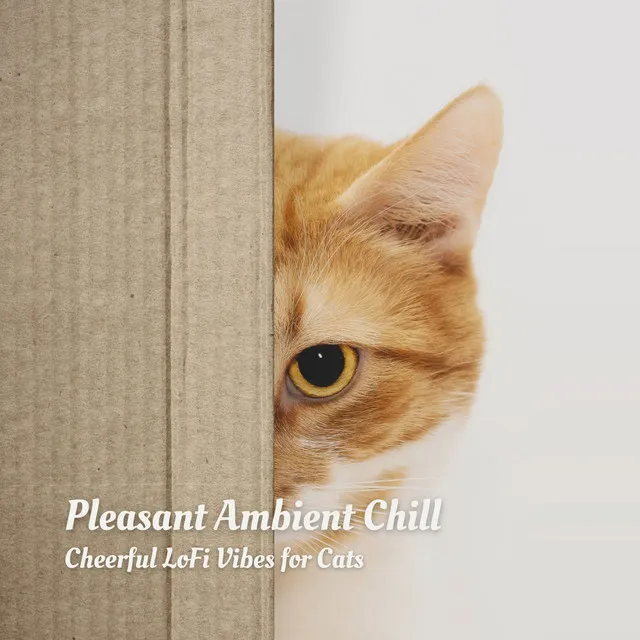 Pleasant Ambient Chill: Cheerful LoFi Vibes for Cats