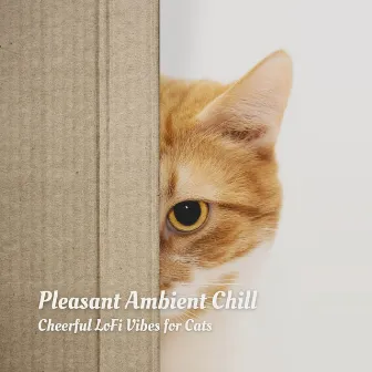 Pleasant Ambient Chill: Cheerful LoFi Vibes for Cats by Soothing Cat Music