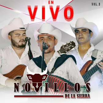 En Vivo, Vol.3 by Novillos de la Sierra