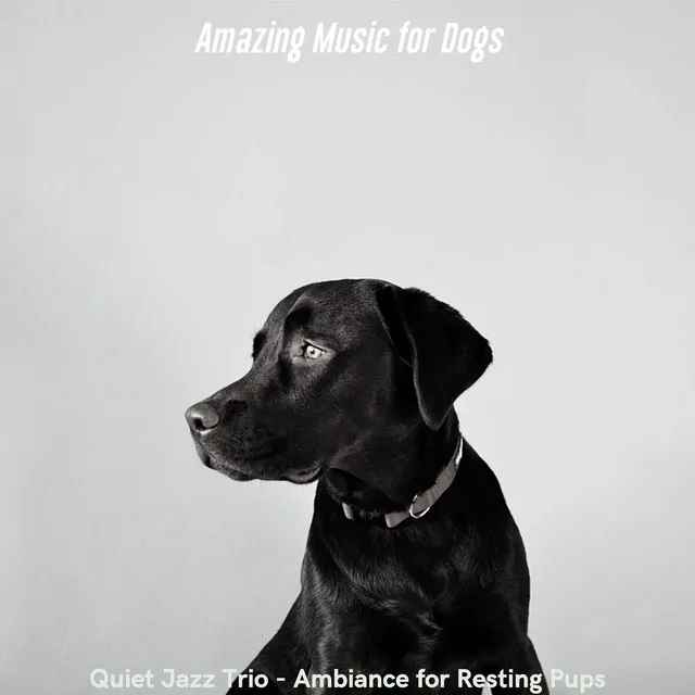 Quiet Jazz Trio - Ambiance for Resting Pups